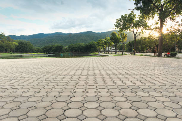 Best Best Driveway Pavers  in Holyoke, CO